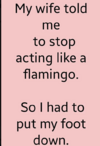 flamingo.png
