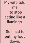 flamingo.png