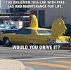 Chicken.jpg
