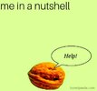 Nutshell.jpg