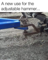 Adjustable hammer.png