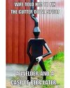 Down spout.jpg