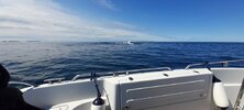 IMG_4057.jpeg