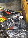 IMG_1172.jpeg