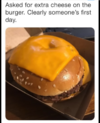 1664120533094.png