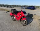 IMG_6952.jpg