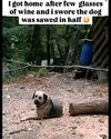 1749086285113.jpeg
