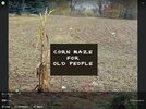 corn maze.jpg