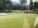 IMG_6994.jpg