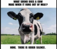 1666542190558.png