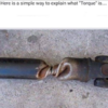 1666637034090.png