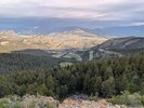PXL_20250617_124319612.jpg