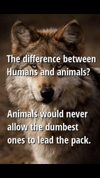 214BB848-C2DB-4107-9788-36FAC0D5927A.png