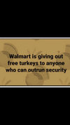 81204FA9-D13C-4595-8333-59BFA8E532BF.png