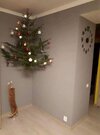 cat reach.jpg