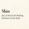 shin.jpg