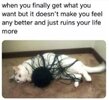 1750508027848.jpeg