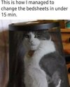 1750508208566.jpeg