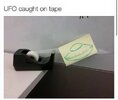1750578315014.jpeg