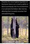 1675009023904.png