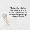 Jellyfish.jpg