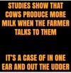 1677981387489.png