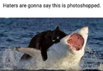 1751316630733.png