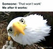 Works.jpg