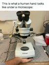 1751610059598.jpeg