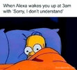Alexa.jpg