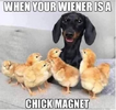 1751628593612.png