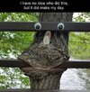 Tree.jpg