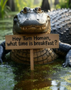 1752152794699.png