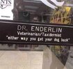vet.jpg