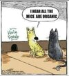 Mice.jpg