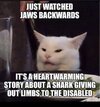 IMG_7381.jpeg