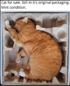1753048542775.png