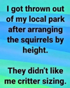 1732406929070.png