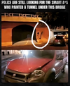 1753965251078.png