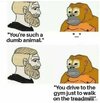 Dumb.jpg
