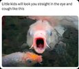1754602772566.jpeg