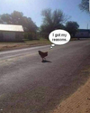 1754669457454.png