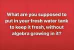 Alga.jpg