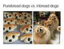 1754911971603.jpeg
