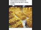Bananas.jpg