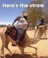 IMG_0310.jpeg
