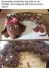 Dog cake.jpg