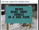 1701794044616.png