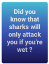 shark.png