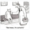 curiosity.png